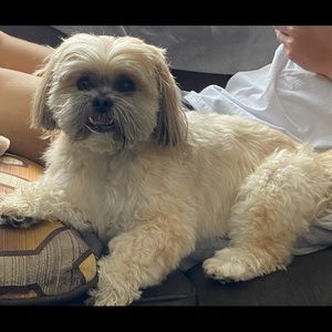 Meet your Posher, Meko